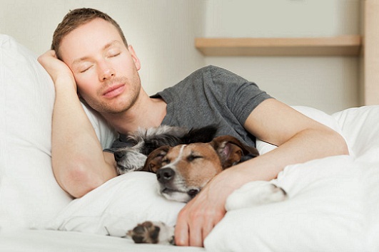 Co-Sleeping With Pets --  is it Really Disruptive?