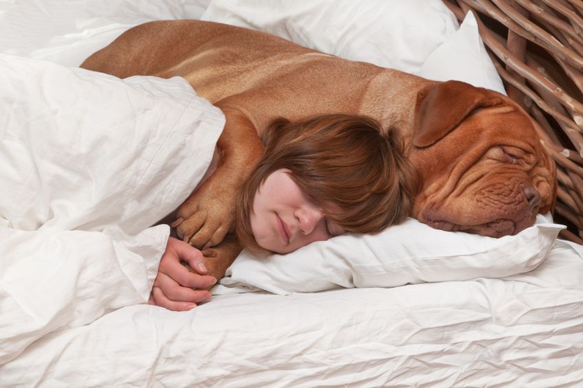 How to Sleep Better With Your Furry Friend